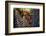 Tropical Garden-Herb Dickinson-Framed Photographic Print