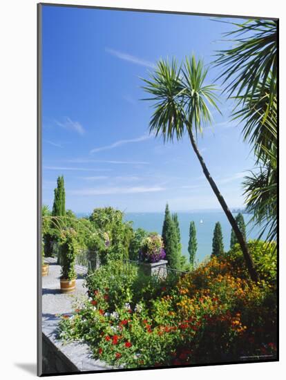 Tropical Gardens, Mainau Island, Lake Constance, Baden-Wurttemberg, Germany, Europe-Ruth Tomlinson-Mounted Photographic Print