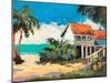 Tropical Getaway-Jane Slivka-Mounted Art Print