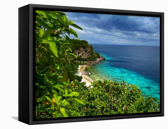 Tropical Green Island and Blue Sea with Coral Reef. View from Top of a Mountain to Apo Reef Natural-Dudarev Mikhail-Framed Premier Image Canvas
