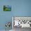 Tropical Green Island and Blue Sea with Coral Reef. View from Top of a Mountain to Apo Reef Natural-Dudarev Mikhail-Photographic Print displayed on a wall