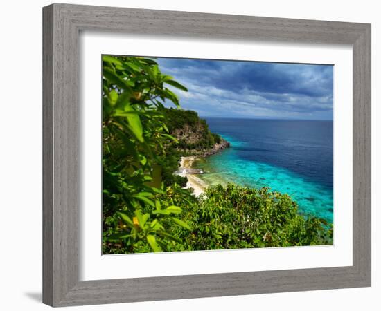 Tropical Green Island and Blue Sea with Coral Reef. View from Top of a Mountain to Apo Reef Natural-Dudarev Mikhail-Framed Photographic Print