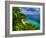 Tropical Green Island and Blue Sea with Coral Reef. View from Top of a Mountain to Apo Reef Natural-Dudarev Mikhail-Framed Photographic Print