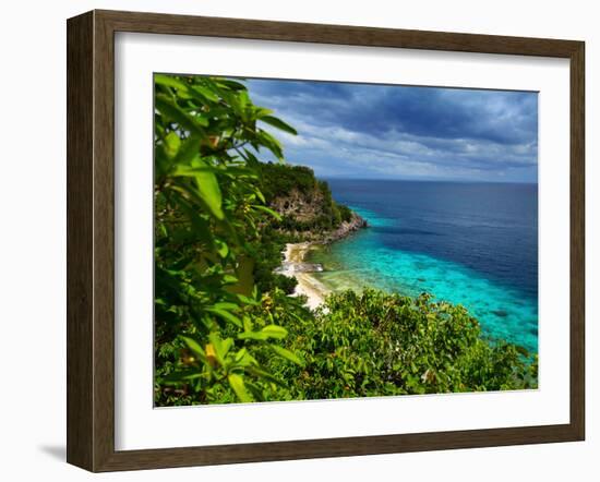 Tropical Green Island and Blue Sea with Coral Reef. View from Top of a Mountain to Apo Reef Natural-Dudarev Mikhail-Framed Photographic Print