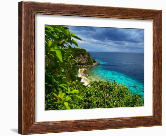 Tropical Green Island and Blue Sea with Coral Reef. View from Top of a Mountain to Apo Reef Natural-Dudarev Mikhail-Framed Photographic Print