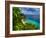 Tropical Green Island and Blue Sea with Coral Reef. View from Top of a Mountain to Apo Reef Natural-Dudarev Mikhail-Framed Photographic Print