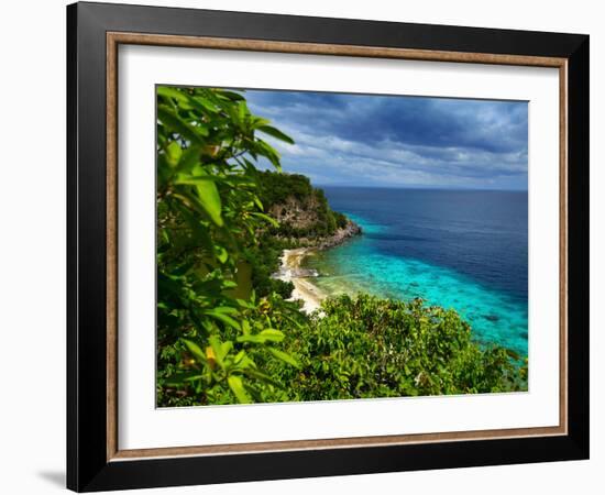 Tropical Green Island and Blue Sea with Coral Reef. View from Top of a Mountain to Apo Reef Natural-Dudarev Mikhail-Framed Photographic Print