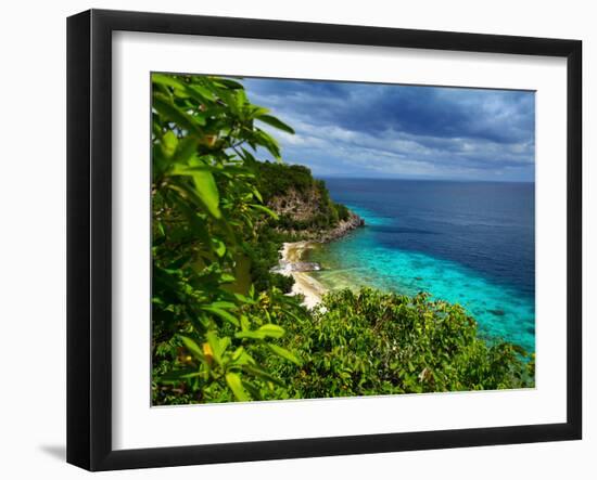 Tropical Green Island and Blue Sea with Coral Reef. View from Top of a Mountain to Apo Reef Natural-Dudarev Mikhail-Framed Photographic Print