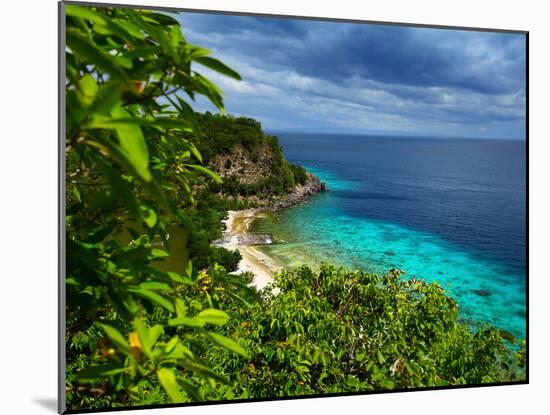 Tropical Green Island and Blue Sea with Coral Reef. View from Top of a Mountain to Apo Reef Natural-Dudarev Mikhail-Mounted Photographic Print