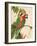 Tropical Green Pair-Colleen Sarah-Framed Art Print