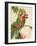 Tropical Green Pair-Colleen Sarah-Framed Art Print