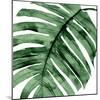 Tropical Green Palm II-Melonie Miller-Mounted Art Print