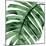 Tropical Green Palm II-Melonie Miller-Mounted Art Print