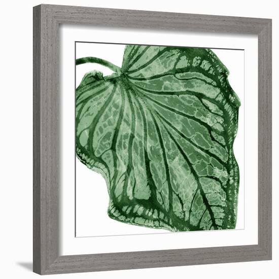 Tropical Green Palm III-Melonie Miller-Framed Art Print