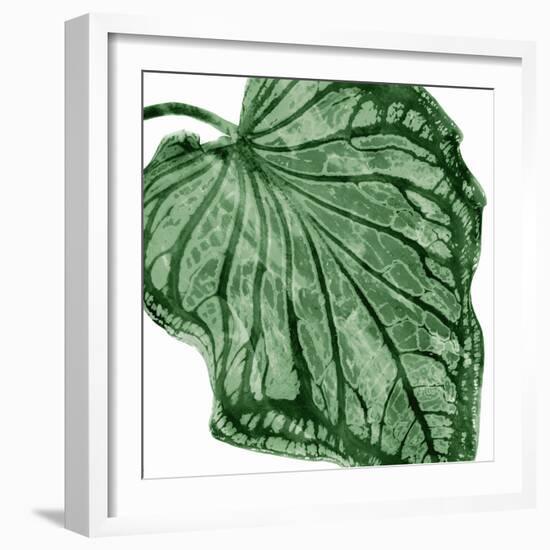 Tropical Green Palm III-Melonie Miller-Framed Art Print