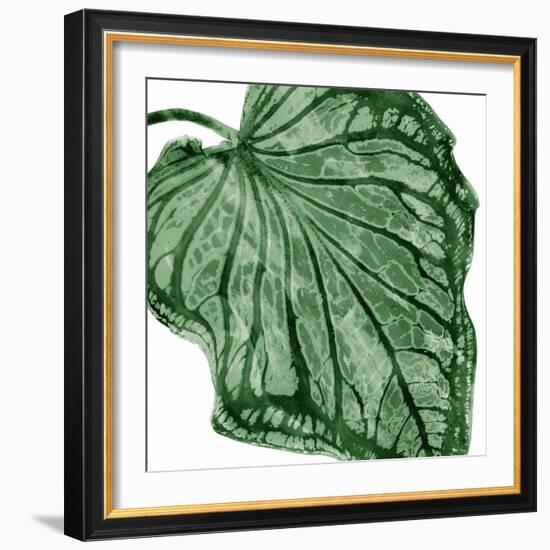 Tropical Green Palm III-Melonie Miller-Framed Art Print