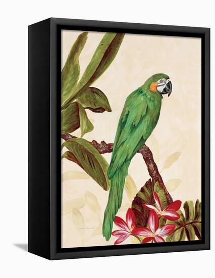 Tropical Green-Colleen Sarah-Framed Stretched Canvas