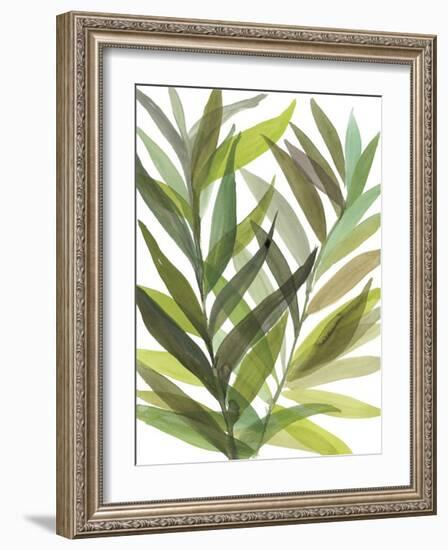 Tropical Greens I-Rebecca Meyers-Framed Giclee Print