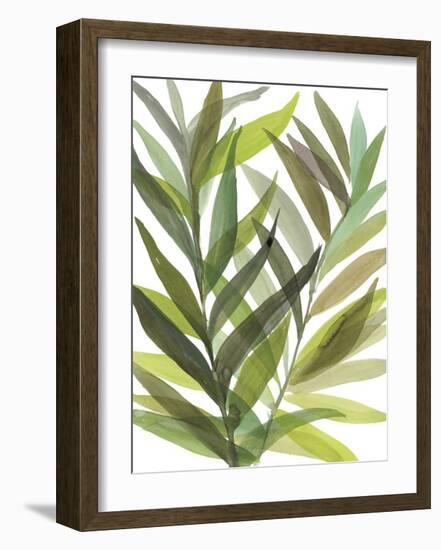 Tropical Greens I-Rebecca Meyers-Framed Giclee Print