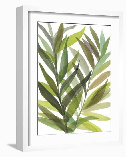 Tropical Greens I-Rebecca Meyers-Framed Giclee Print