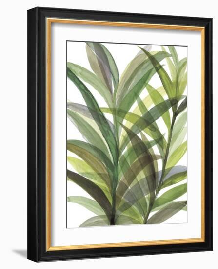 Tropical Greens II-Rebecca Meyers-Framed Giclee Print