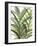 Tropical Greens II-Rebecca Meyers-Framed Giclee Print