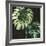 Tropical Growth II-Julie Silver-Framed Giclee Print