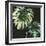 Tropical Growth II-Julie Silver-Framed Giclee Print