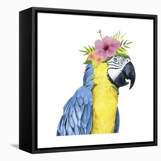 Tropical Halo II-Grace Popp-Framed Stretched Canvas