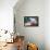 Tropical Hideaway-Nenad Mirkovich-Framed Stretched Canvas displayed on a wall