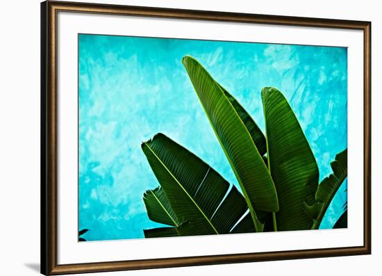 Tropical III-Peter Morneau-Framed Art Print