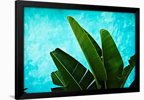 Tropical III-Peter Morneau-Framed Art Print