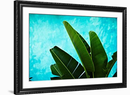 Tropical III-Peter Morneau-Framed Art Print