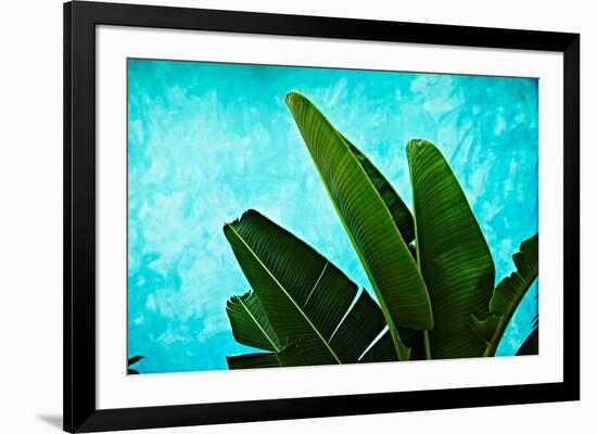 Tropical III-Peter Morneau-Framed Art Print