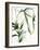 Tropical Impromptu III-June Vess-Framed Art Print