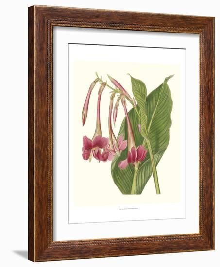 Tropical Indian Reed-Samuel Curtis-Framed Art Print