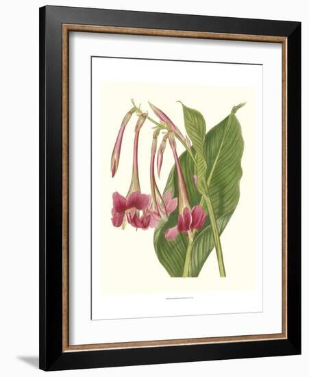 Tropical Indian Reed-Samuel Curtis-Framed Art Print