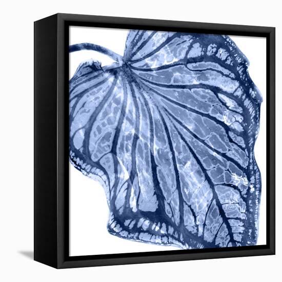 Tropical Indigo Palm III-Melonie Miller-Framed Stretched Canvas