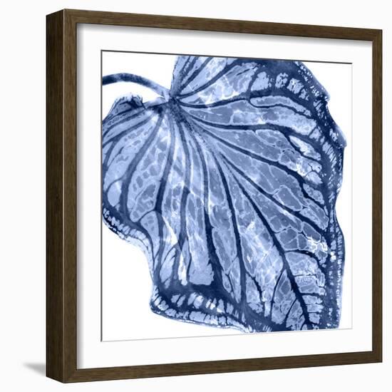 Tropical Indigo Palm III-Melonie Miller-Framed Art Print