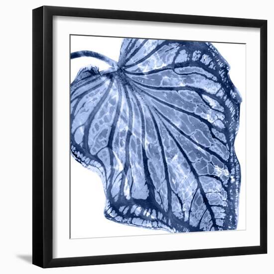 Tropical Indigo Palm III-Melonie Miller-Framed Art Print