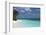 Tropical Island and Lagoon, Maldives, Indian Ocean, Asia-Sakis Papadopoulos-Framed Photographic Print