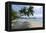 Tropical Island Beach at Matangi Island Resort, Vanua Levu, Fiji, Pacific-Louise Murray-Framed Premier Image Canvas