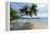 Tropical Island Beach at Matangi Island Resort, Vanua Levu, Fiji, Pacific-Louise Murray-Framed Premier Image Canvas