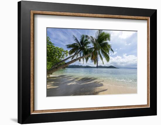 Tropical Island Beach at Matangi Island Resort, Vanua Levu, Fiji, Pacific-Louise Murray-Framed Photographic Print