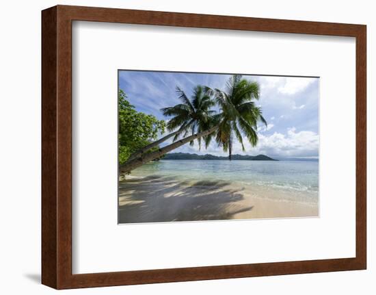 Tropical Island Beach at Matangi Island Resort, Vanua Levu, Fiji, Pacific-Louise Murray-Framed Premium Photographic Print