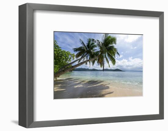 Tropical Island Beach at Matangi Island Resort, Vanua Levu, Fiji, Pacific-Louise Murray-Framed Premium Photographic Print