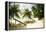 Tropical Island Beach with Hammock at Matangi Island Resort, Vanua Levu, Fiji, Pacific-Louise Murray-Framed Premier Image Canvas