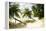 Tropical Island Beach with Hammock at Matangi Island Resort, Vanua Levu, Fiji, Pacific-Louise Murray-Framed Premier Image Canvas