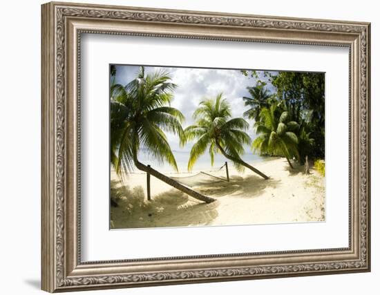 Tropical Island Beach with Hammock at Matangi Island Resort, Vanua Levu, Fiji, Pacific-Louise Murray-Framed Photographic Print