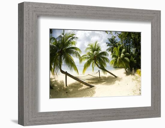 Tropical Island Beach with Hammock at Matangi Island Resort, Vanua Levu, Fiji, Pacific-Louise Murray-Framed Photographic Print